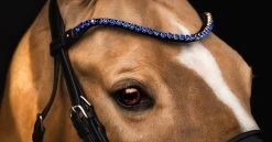 Utzon Equestrian Elegant Browband Sapphire -Equestrian Supplies Sale DSC 6134
