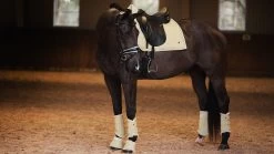 Equestrian Supplies Sale -Equestrian Supplies Sale DSC 8214 58f251fb ce7a 4af7 8e75 40d7f55e38e6