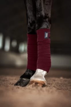 Equestrian Supplies Sale -Equestrian Supplies Sale Merlot Crystal Equestrian Stockholm 39