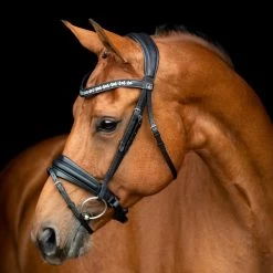 SD Design Vivaldi Browband Clear 9 SD Design Vivaldi Browband Clear -Equestrian Supplies Sale R 1206 SD VIvaldi bridle 1