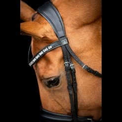 SD Design Vivaldi Browband Clear 10 SD Design Vivaldi Browband Clear -Equestrian Supplies Sale R 1206 SD VIvaldi bridle5 1