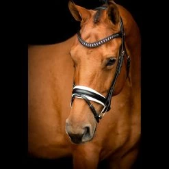 SD Design Vivaldi Browband Amethyst -Equestrian Supplies Sale R 923 SD Vivaldi browband Amethyst4