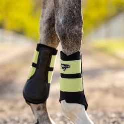 Equestrian Supplies Sale -Equestrian Supplies Sale lemieux 12 17d262fb 7250 4003 9f7d a8db1ce625bd