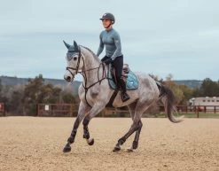 Equestrian Stockholm Ear Bonnet Steel Blue -Equestrian Supplies Sale steelblue jumpingset esstockholm 0d0d38ac 7dff 4d38 8ec7 974b5b9b6d84