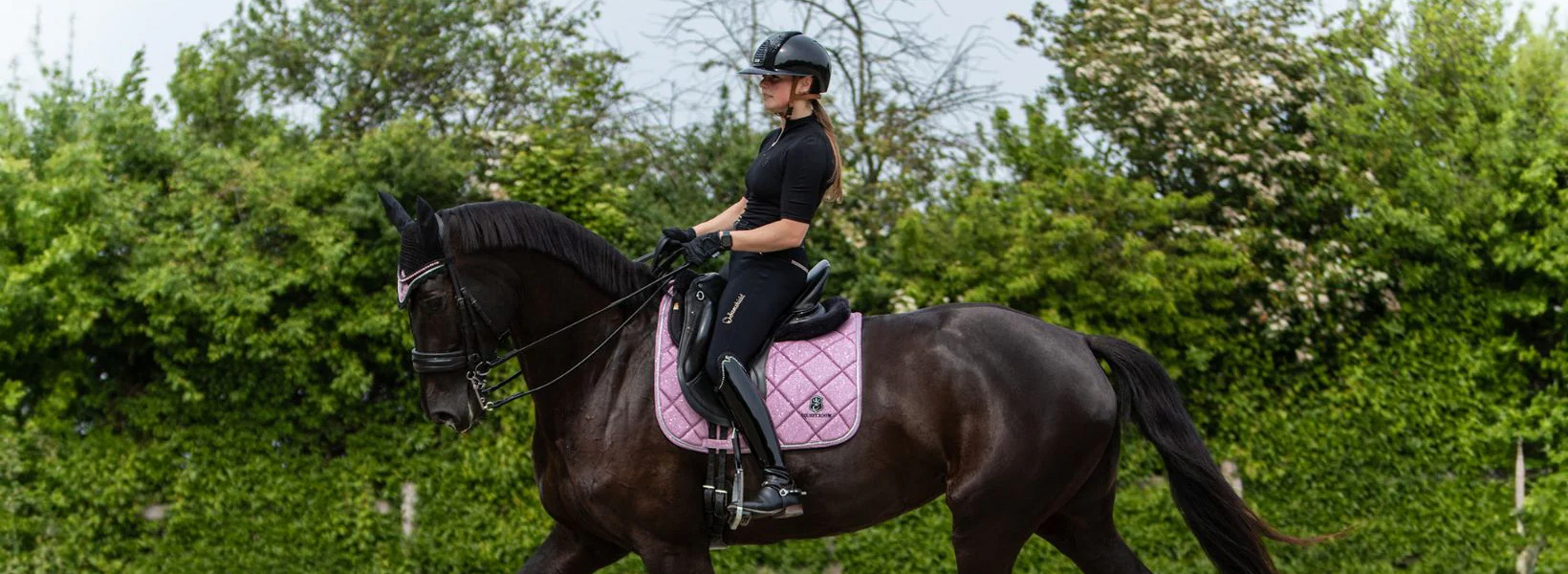 Equestrian Supplies Sale -Equestrian Supplies Sale 2